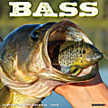 2026 Willow Creek Press Animals Monthly Wall Calendar, 12" x 12", Bass, January To December, 50064 1 thumbnail image