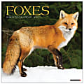 2026 Willow Creek Press Animals Monthly Wall Calendar, 12" x 12", Foxes, January To December, 51146 1 thumbnail image