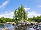 Biggies Landscape/Seascape Mural, 40" x 30", Unframed, Tree 1 thumbnail image