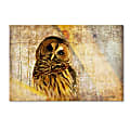 Trademark Global Owl Gallery-Wrapped Canvas Print By Lois Bryan, 16"H x 24"W