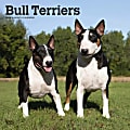 2024 BrownTrout Monthly Square Wall Calendar, 12" x 12", Bull Terriers, January to December