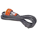 APC Standard Power Cord - 12ft 1 thumbnail image