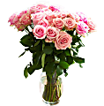 Rose Farmers Bi-Color Eyecatcher Long Stem Roses, Pink, Box Of 24 Roses