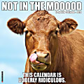 2024 Willow Creek Press Humor & Comics Monthly Wall Calendar, 12" x 12", Not In The Mooood (Cows), January To December