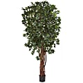 Nearly Natural Lychee 90”H Silk Tree With Pot, 90”H x 48”W x 48”D, Green