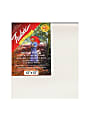 Fredrix Red Label Stretched Cotton Canvases, 12" x 12" x 11/16", Pack Of 2
