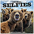 2026 Willow Creek Press Animals Monthly Wall Calendar, 12" x 12", Animal Selfies, January To December, 49884 1 thumbnail image