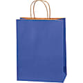 Partners Brand Tinted Shopping Bags, 13"H x 10"W x 5"D, Parade Blue, 250 1 thumbnail image