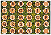 Carpets for Kids® Pixel Perfect Collection™ Alphabet Tree Rounds Seating Rug, 6' x 9', Brown