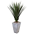 Nearly Natural 5'H Spiked Artificial Agave With Planter, 60"H x 36"W x 36"D, Gray/Green 1 thumbnail image