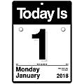 AT-A-GLANCE® "Today Is" Daily Wall Calendar, (K100-18), 6" x 6", Black/White, January to December 2018 (K100-18)