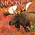 2024 Willow Creek Press Animals Monthly Wall Calendar, 12" x 12", Moose, January To December
