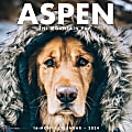 2024 Willow Creek Press Animals Monthly Wall Calendar, 12" x 12", Aspen The Mountain Pup, January To December