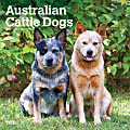 2025 BrownTrout Australian Cattle Dogs Monthly Plastic-Free Square Wall Calendar, 12" x 12", Dog Breeds, January to December 2025, 9781975476533 1 thumbnail image