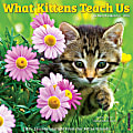 2024 Willow Creek Press Animals Monthly Wall Calendar, 12" x 12", What Kittens Teach Us, January To December