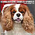 2026 Willow Creek Press Animals Monthly Wall Calendar, 12" x 12", Cavalier King Charles Spaniels, January To December, 50651 1 thumbnail image