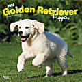 2025 BrownTrout Golden Retriever Puppies Monthly Plastic-Free Square Wall Calendar, 12" x 12", Dog Breeds, January to December 2025, 9781975477066 1 thumbnail image