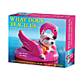 2026 Willow Creek Press Page-A-Day Daily Desk Calendar, 6-1/4" x 5-1/2", What Dogs Teach Us, January To December, 54512 1 thumbnail image