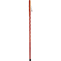 Brazos Walking Sticks™ Twisted Aromatic Cedar Walking Stick, 58" 1 thumbnail image