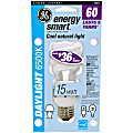 GE Spiral Compact Fluorescent Bulb, 15 Watts (60 Watts Equivalent), "Daylight