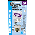 GE Spiral Compact Fluorescent Bulb, 15 Watts (60 Watts Equivalent), "Daylight 1 thumbnail image