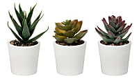 Realspace™ 5” Artificial Mixed Potted Succulents, 5”H x 6-1/2”W x 2-1/2”D, Green/White, Pack Of 3 Succulents 1 thumbnail image