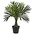 Nearly Natural Mini Areca Palm 15-1/2”H Artificial Plant With Planter, 15-1/2”H x 13”W x 13”D, Green/Black 1 thumbnail image