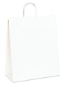 Partners Brand Paper Shopping Bags, 13"W x 6"D x 15 3/4"H, White, Case Of 250