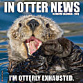 2024 Willow Creek Press Humor & Comics Monthly Wall Calendar, 12" x 12", In Otter News, January To December