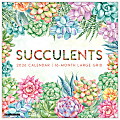 2026 Willow Creek Press Art & Design Monthly Wall Calendar, 12" x 12", Succulents—Large Grid, January To December, 55564 1 thumbnail image