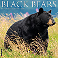 2025 Willow Creek Press Animals Monthly Wall Calendar, 12” x 12”, Black Bears, January To December, 41826 1 thumbnail image