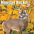 2024 Willow Creek Press Animals Monthly Wall Calendar, 12" x 12", Monster Bucks, January To December