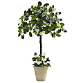 Nearly Natural Stephanotis Topiary 36”H Artificial Plant With Planter, 36”H x 23”W x 23”D, Green 1 thumbnail image