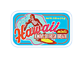 AmuseMints® Destination Mint Candy, Hawaii Surfer, 0.56 Oz Tin, Pack Of 24