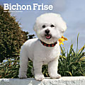2024 BrownTrout Monthly Square Wall Calendar, 12" x 12", Bichon Frise, January to December