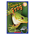 Scholastic Readers: Level 1 From Tadpole To Frog