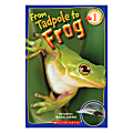 Scholastic Readers: Level 1 From Tadpole To Frog 1 thumbnail image
