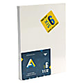 Art Alternatives Canvas Panels, 9"W x 12"H, White, Pack Of 6 1 thumbnail image