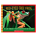 Scholastic Red-Eyed Tree Frog