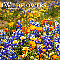2024 BrownTrout Monthly Square Wall Calendar, 12" x 12", Wildflowers, January to December