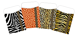 Barker Creek Africa Safari Library Pocket Sets, 3-1/2" x 5-1/8", Assorted Colors, Pack Of 4 Sets