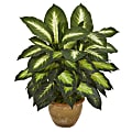 Nearly Natural 18"H Dieffenbachia Artificial Plant With Ceramic Planter, 18"H x 16"W x 16"D, Tan/Green