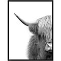 Amanti Art Hey Dude Highland Cow by The Creative Bunch Studio Wood Framed Wall Art Print, 40”H x 30”W, Black 1 thumbnail image
