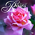 2025 BrownTrout Roses Monthly Plastic-Free Square Wall Calendar, 12" x 12", Home and Garden, January to December 2025, 9781975475635 1 thumbnail image