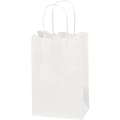 Partners Brand Paper Shopping Bags, 5 1/4"W x 3 1/4"D x 8 3/8"H, White, Case Of 250