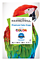 Hammermill® Color Multi-Use Printer & Copy Paper, 1 Ream, White, Ledger (11" x 17"), 500 Sheets Per Ream, 28 Lb, 100 Brightness 1 thumbnail image