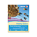 Xerox® Vitality Colors™ Colored Multi-Use Print & Copy Paper, Letter Size (8 1/2" x 11"), 20 Lb, 30% Recycled, Ivory, Ream Of 500 Sheets