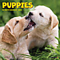 2025 Willow Creek Press Mini Wall Calendar, 7” x 7”, Puppies, January 2025 To December 2025, 45862 1 thumbnail image