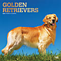 2025 BrownTrout Golden Retrievers Monthly Plastic-Free Square Wall Calendar, 12" x 12", Dog Breeds, January to December 2025, 9781975477073 1 thumbnail image