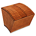 Globe-Weis® High-Quality Daily Expanding File, Letter Size, 31 Pockets, 1-31, Brown 1 thumbnail image